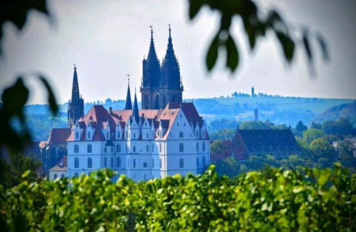 Ferienhaus Dr. Mueller Meißen Buitenkant foto
