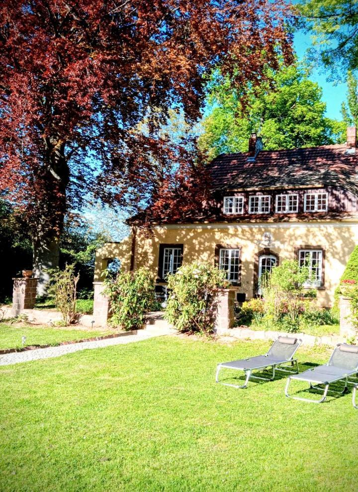 Ferienhaus Dr. Mueller Meißen Buitenkant foto